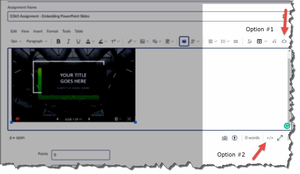 Embedding Options